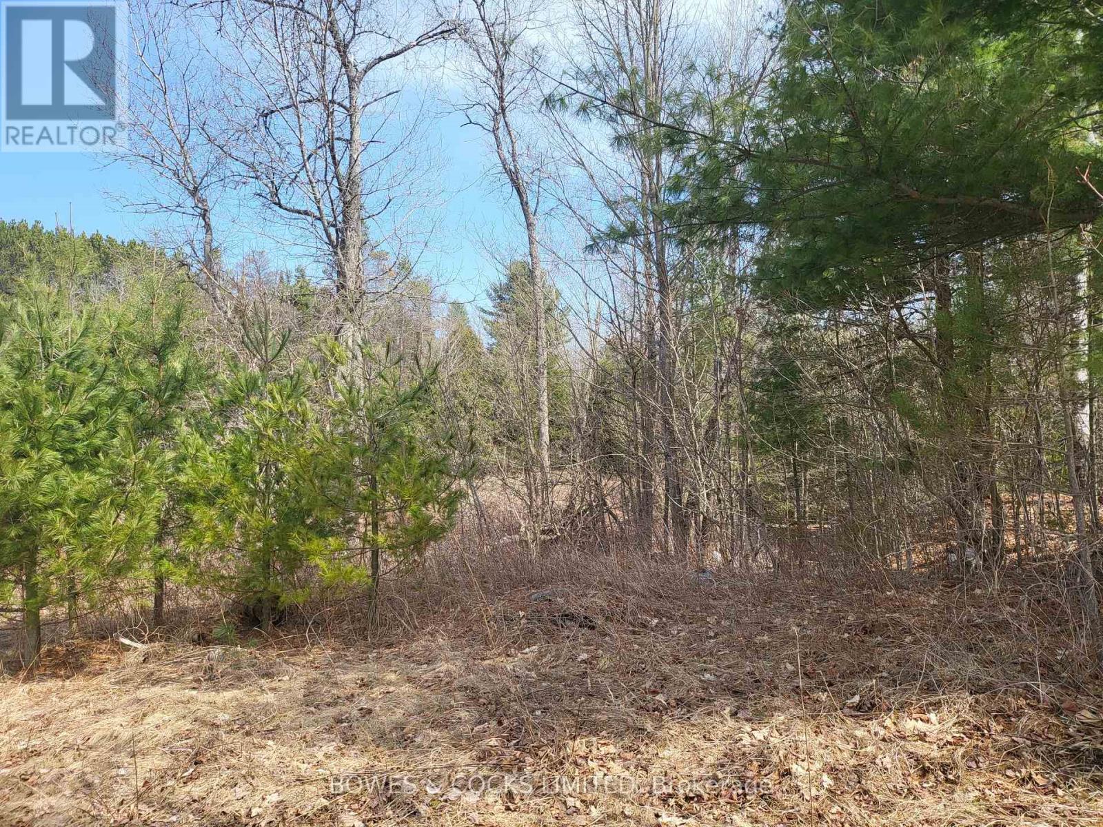 












26642 HIGHWAY 62 S

,
Bancroft (Dungannon Ward),




Ontario
K0L2L0

