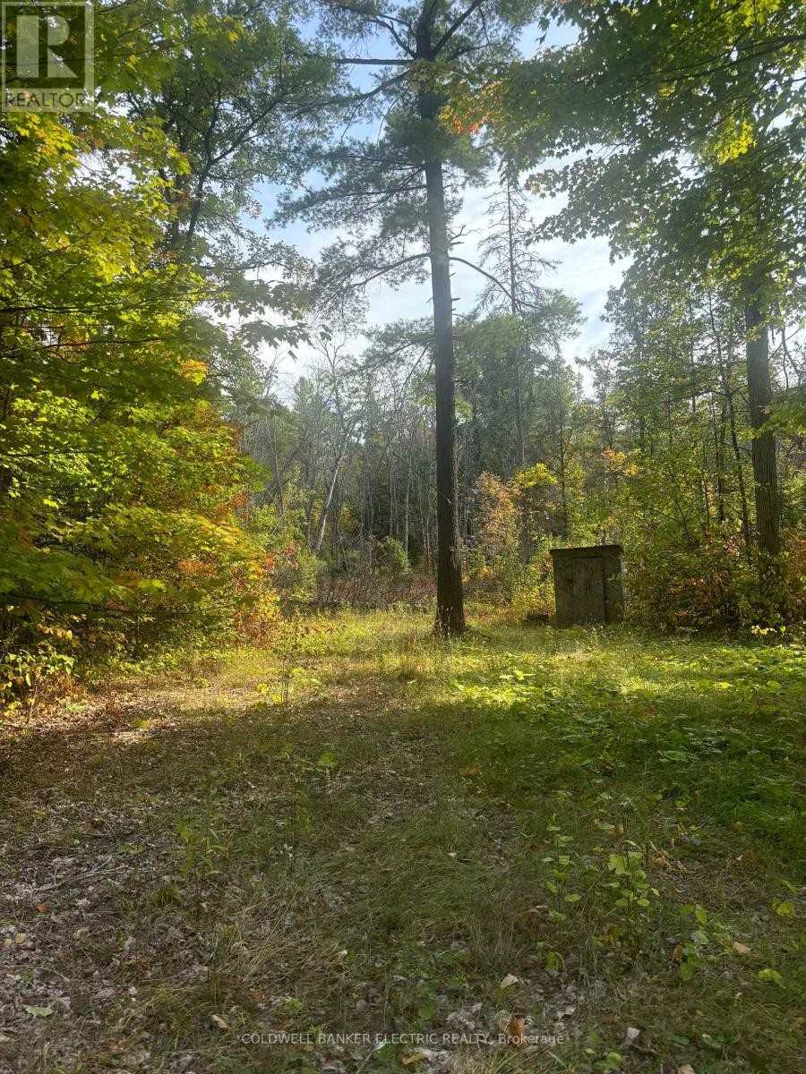 












0 PINEVIEW COURT

,
Marmora and Lake (Marmora Ward),







Ontario
K0K2M0

