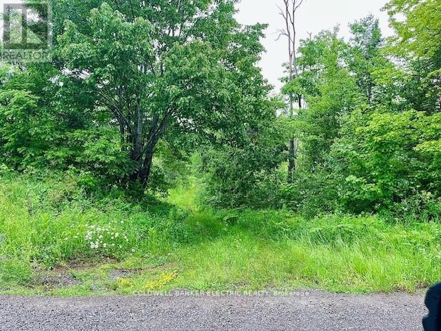 












000 LASSWADE ROAD

,
North Kawartha,







Ontario
K0L1A0

