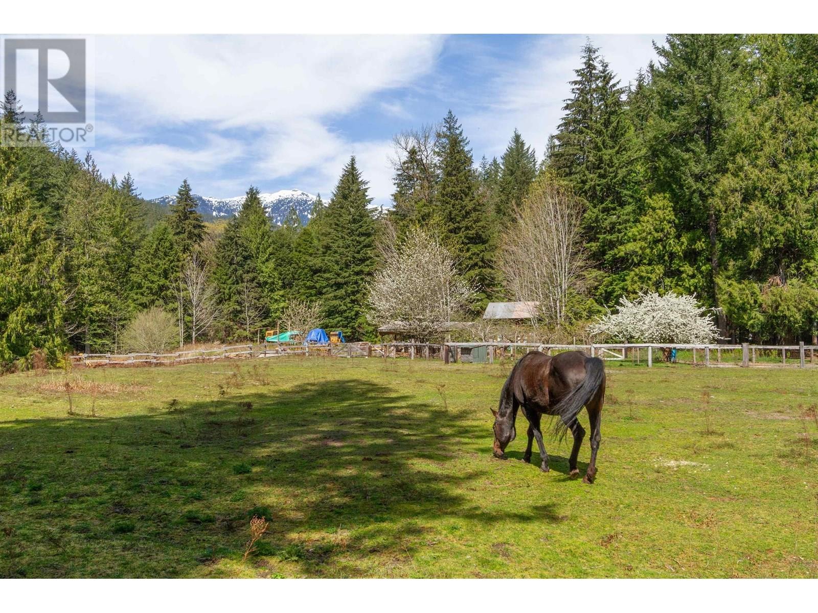 












8101 PARADISE VALLEY ROAD

,
Squamish,




British Columbia
V0N1H0

