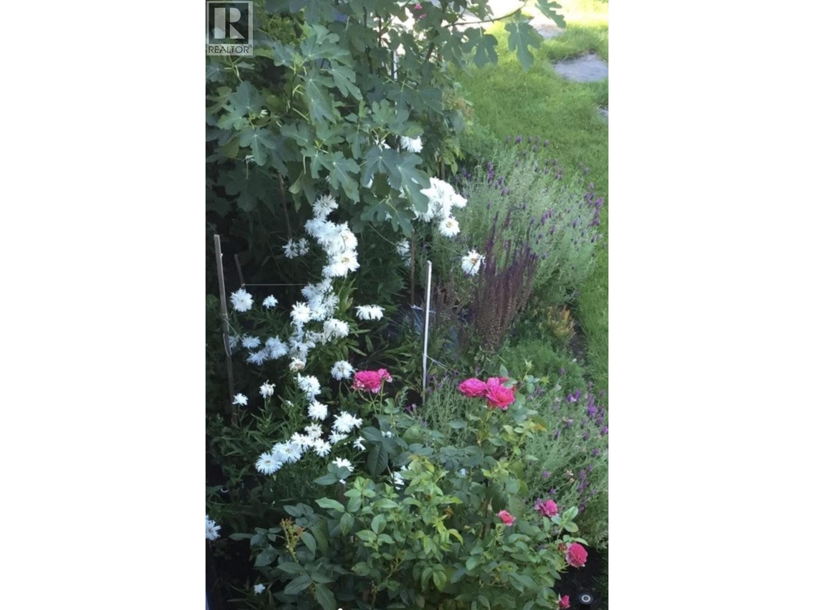 












349 E 24TH STREET

,
North Vancouver,




British Columbia
V7L3E9

