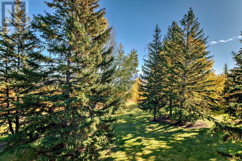 












204, 328 Cedar Crescent SW

,
Calgary,




Alberta
T3C2Y8

