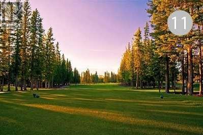 












11 Timber Close

,
Sundre,







Alberta
T0M0X0

