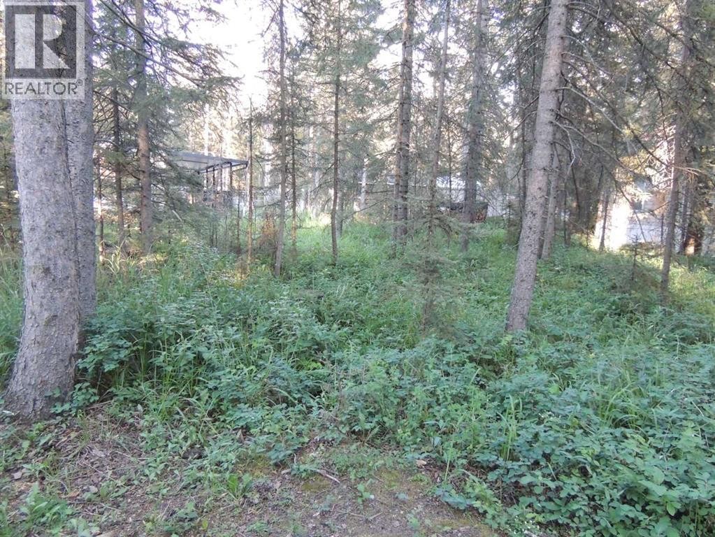 












9 Timber Trail

,
Sundre,







Alberta
T0M1X0

